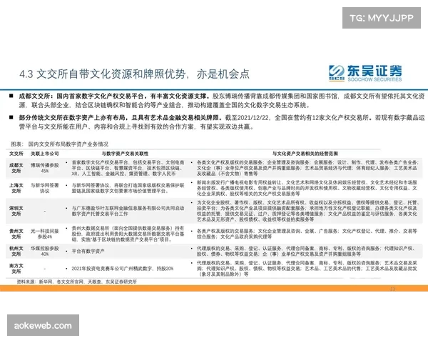 体育数字资产合规审查流程严格化，防范法律风险