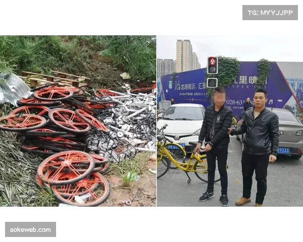 西班牙警方打击自行车盗窃团伙，追回百余辆高端山地自行车